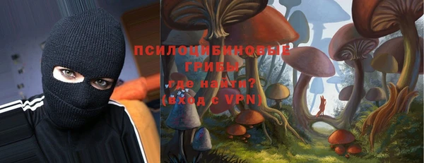 ALPHA PVP Горно-Алтайск