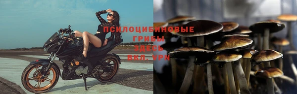 каннабис Вязники