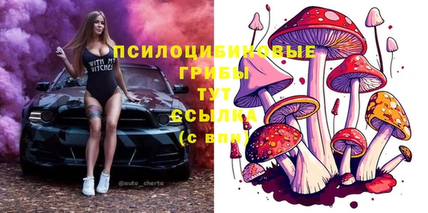 ALPHA-PVP Горнозаводск