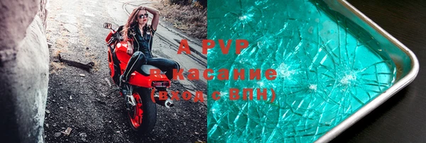 амф Вязьма