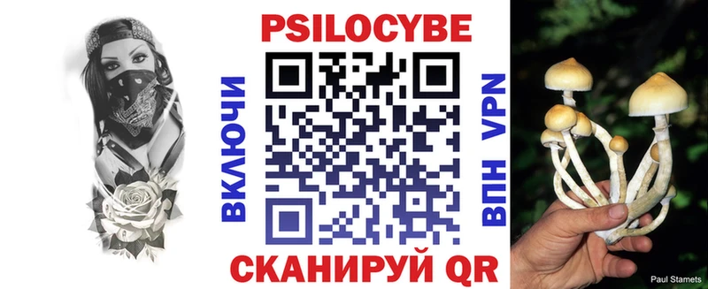 Псилоцибиновые грибы GOLDEN TEACHER  Заречный 